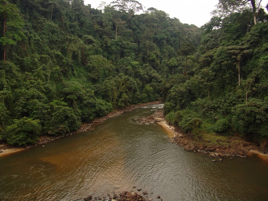 Birougou National Park 