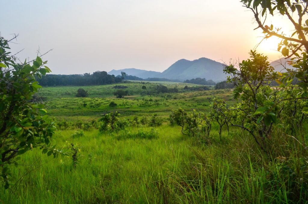 Lopé National Park Gabon