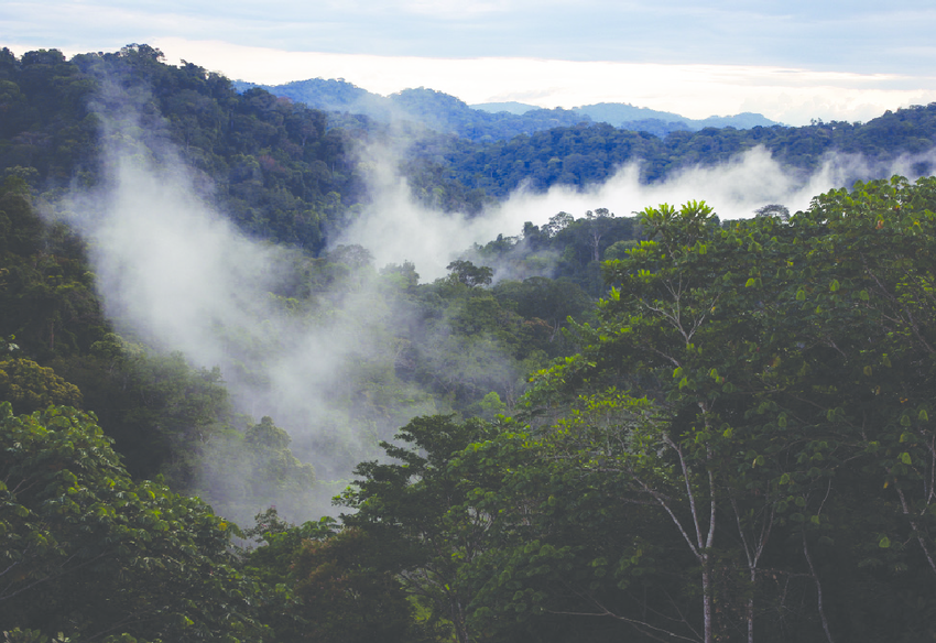 Crystal Mountains National Park Gabon