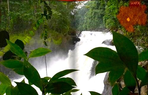 Waka National Park