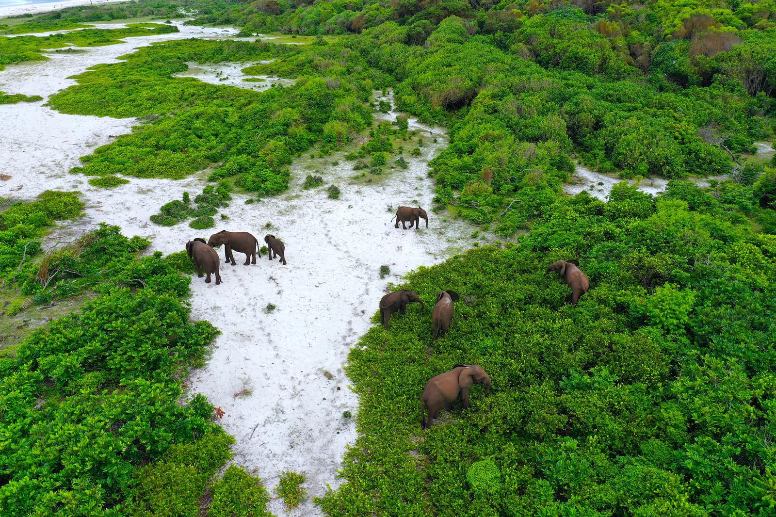 Loango National Park in Gabon