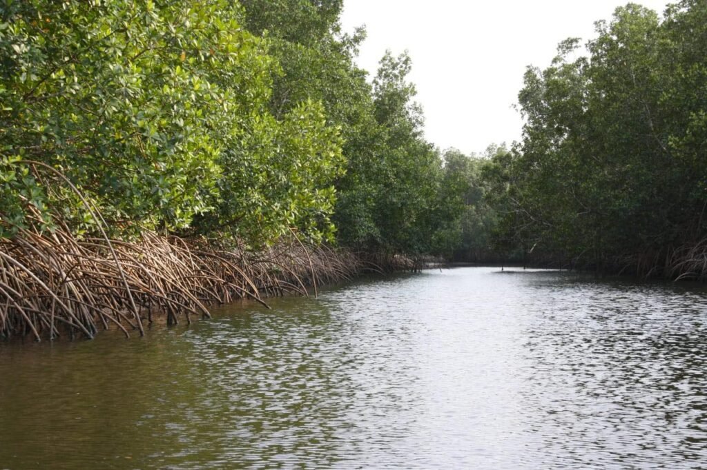 Petit Loango Gabon